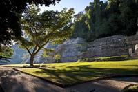 PALENQUE